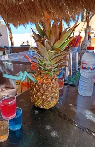 HULA HULA / Paradise Island